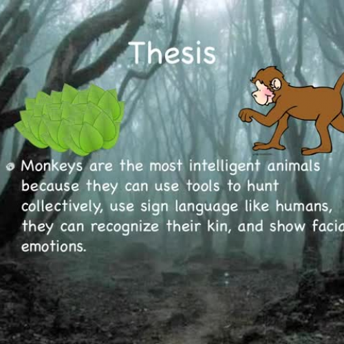 research presentation