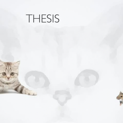 3YunaKoResearchPresentation 2