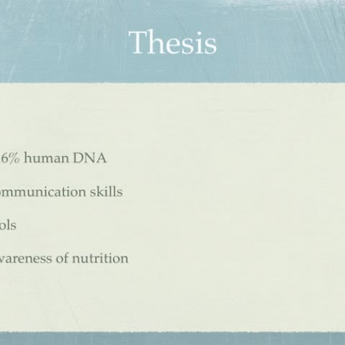 research presentation