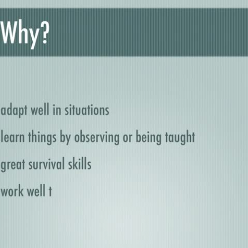 Research Paper Presentation: Chimpanzee’