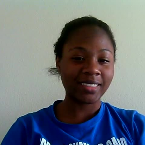 Describe the Famliy Visual  Presentation