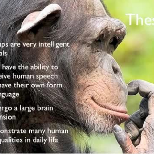 LE5HerzogReedresearchpresentation