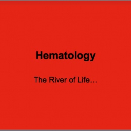 HS1 Hematology