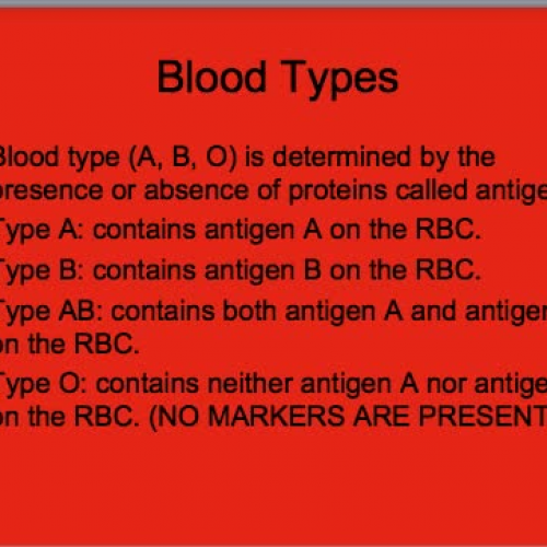 HS1 Blood Typing