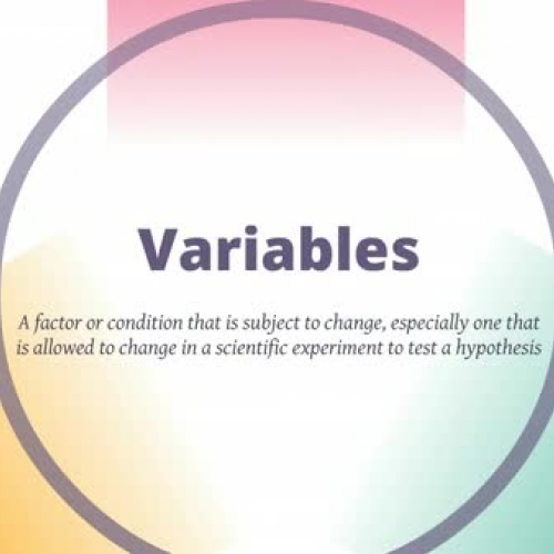 Types of Variables Video