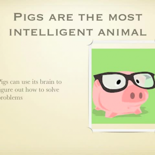 4TrentroundsResearchpresentation