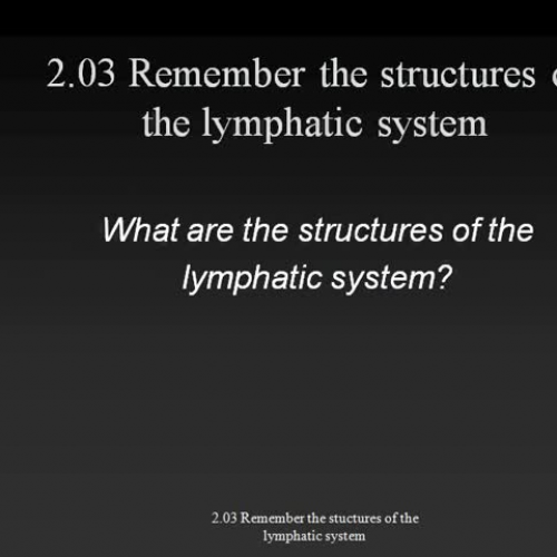 2.03 Video Lecture-Structures of Lymphatic Sy