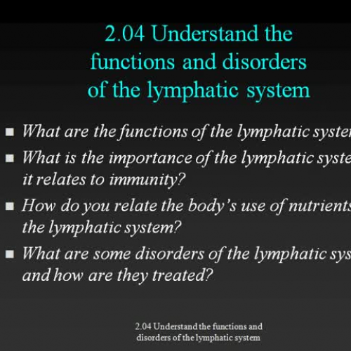 2.04 Video Lecture Functions &amp; Disorders 