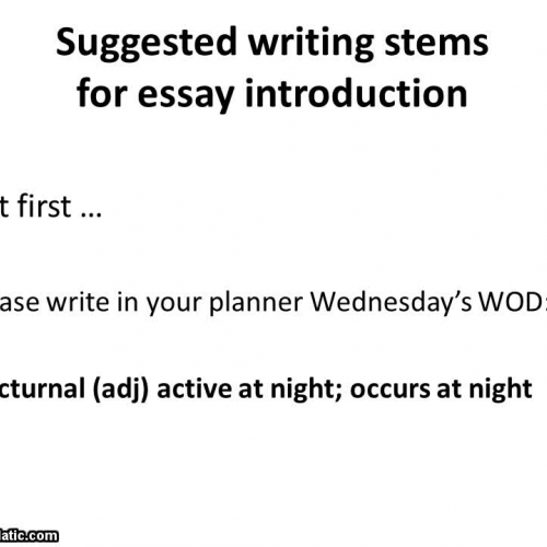 Writing stems for essay intro