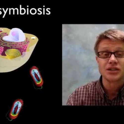 Endosymbiosis