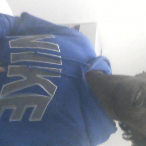 Describing the Family Visual Presentation Mil