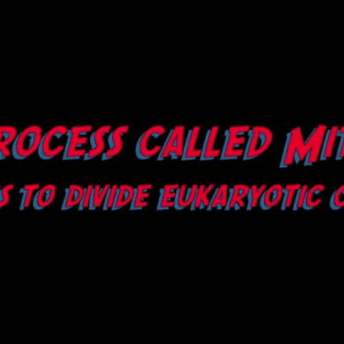 Vocabulary Digital Story