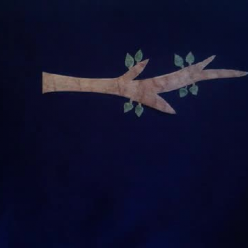 Five Little Butterflies