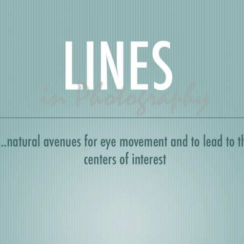 Photography Line Assignement