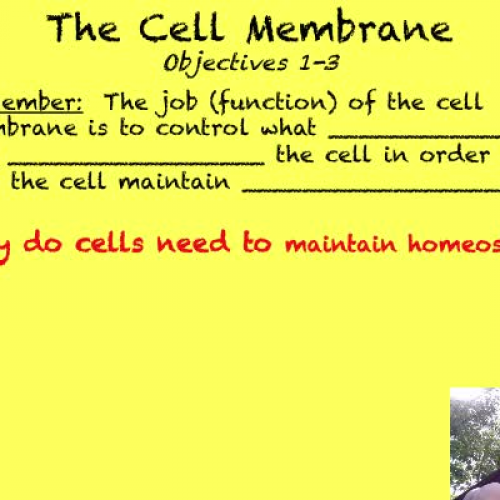 Cell Membrane Part 1