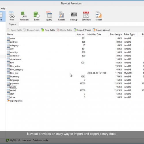 import_binary_data_win_v110