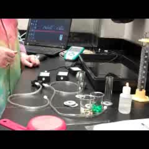 Cellular Respiration PreLab