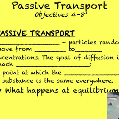 Cell Membrane Part 2