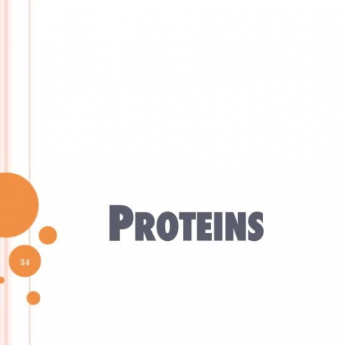 Nutrients part 3 of 6-Proteins