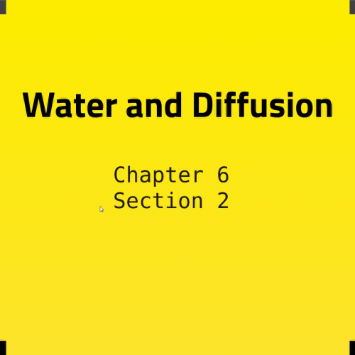 Water and Diffusion 