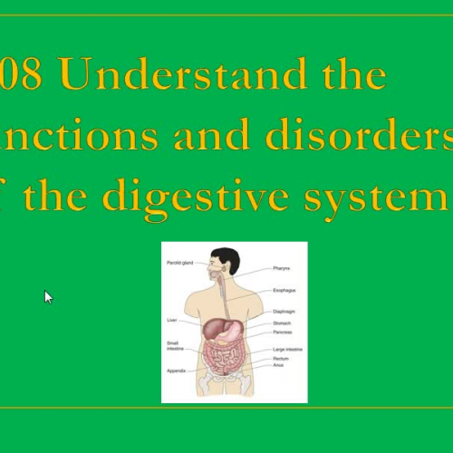 2.08 Functions &amp; Disorders of Digestive s