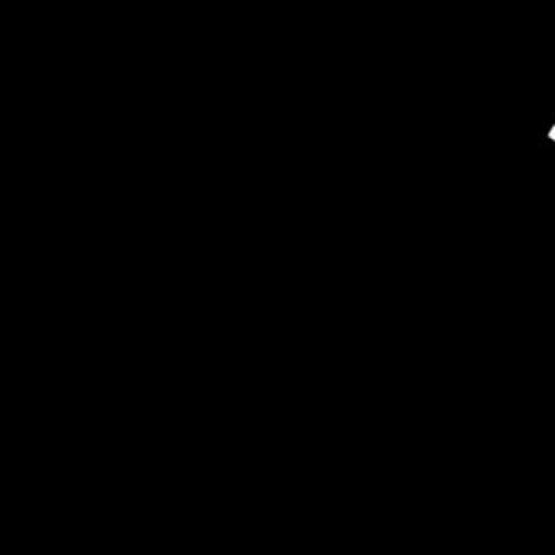 Genotype Expression