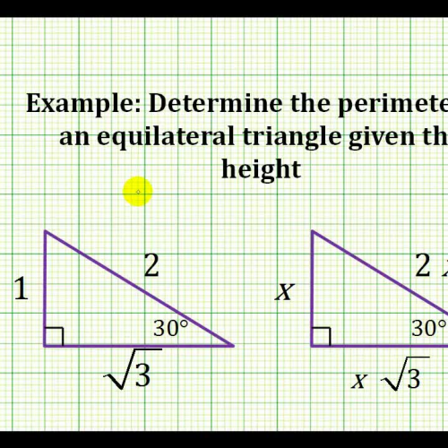 Ref Triangle Perimeter Ex3