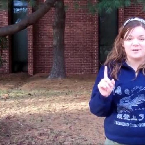 Jenna and Lindsay movie5