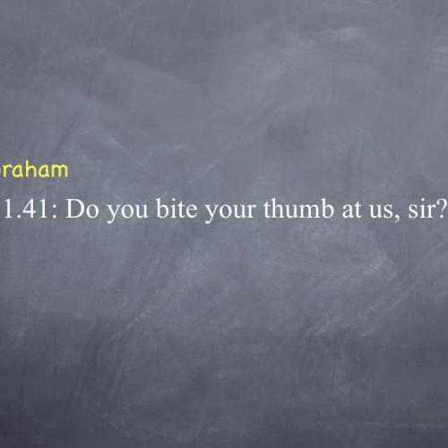 Romeo and Juliet 1.1.41