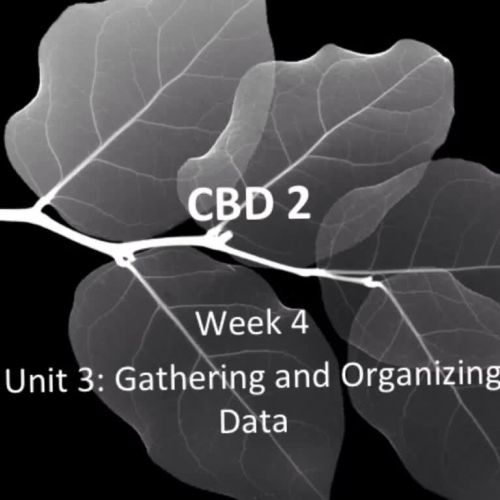 CBD2 Week 4 Unit 3