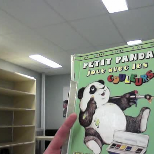 SC4 L2 Petit panda joue avec les couleurs