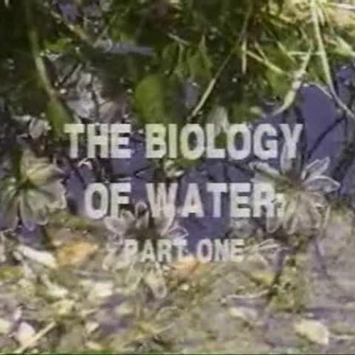 An Intro to Water