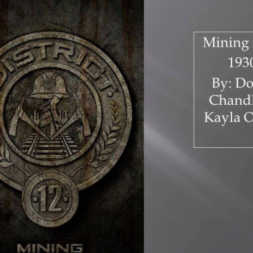 District 12 Mining HG