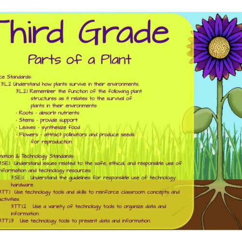 EES - Plants - 3rd Grade