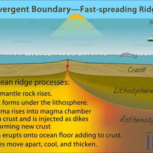 Divergent Margin (Spreading Ridge)