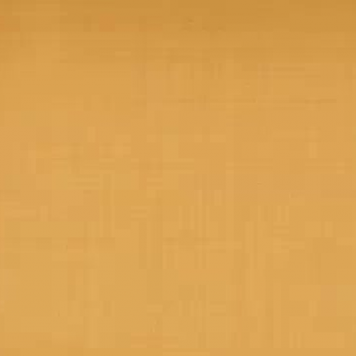 Tropical Seasonal Forest/Savanna