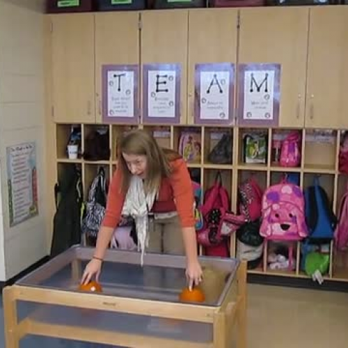 10-22 field experience 002