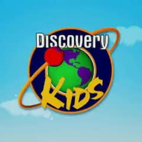 Discovery Kids - Doki Descubre El Bosque 