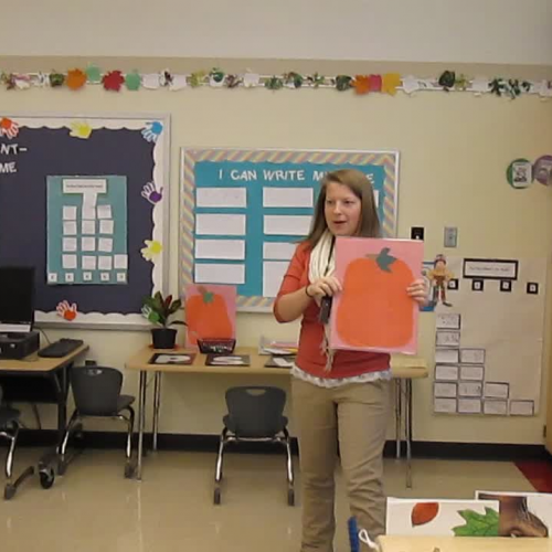 10-22 field experience 004