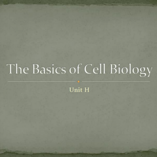 Basics of Cell Biology