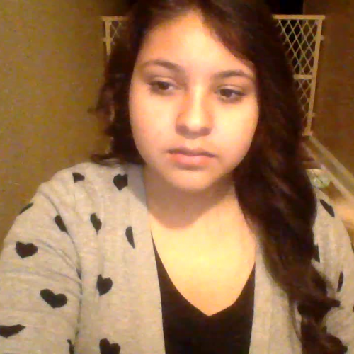 Describe The Family Visual Presentation