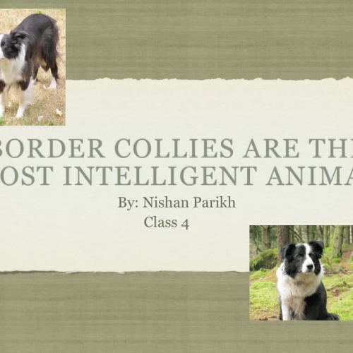 4ParikhNishanResearchPresentation