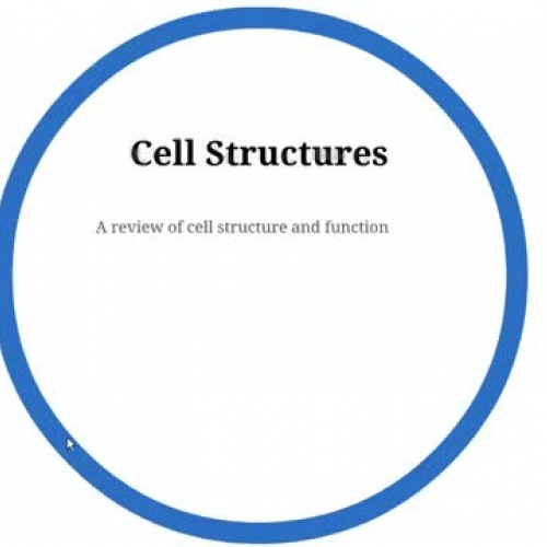Cellular Structure and Function