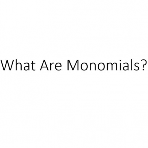 What Are Monomials