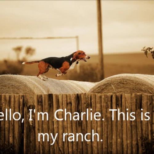 Charlie the Ranch Dog