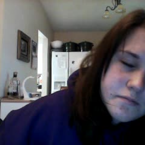 Describe the Family Visual Presentation 