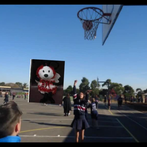 Buzzer Visits Rowellyn Park