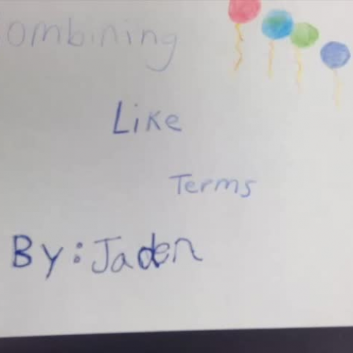 Like Terms7