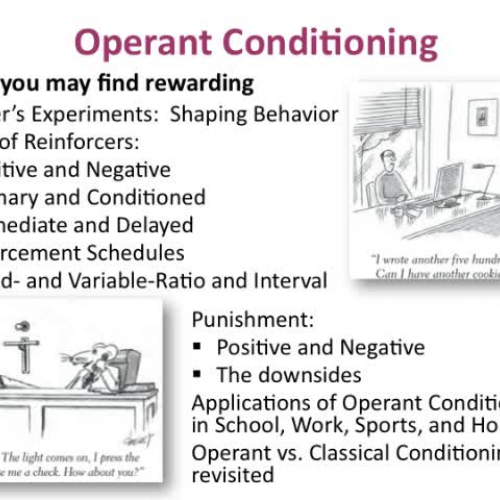 Operant Conditioning