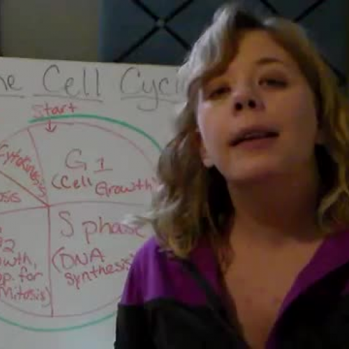 Cell Cycle and Mitosis